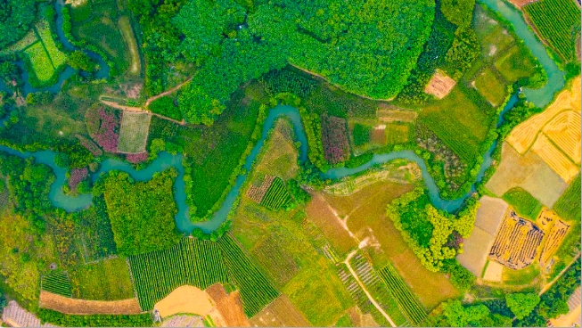 微信截圖_20241217092552.png 微信截圖_20241217092552.png